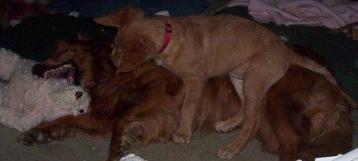 I'll get you my pretty!