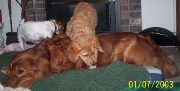 Where is that TOY!?!